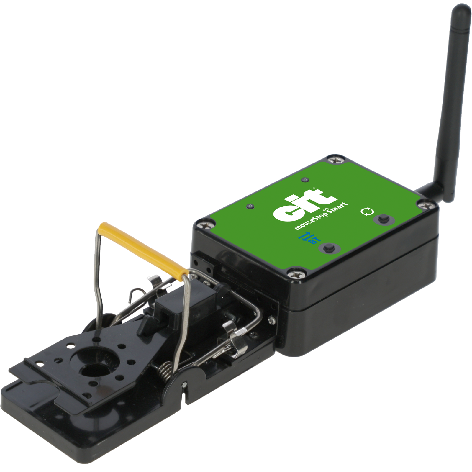 Mausefalle Smart MouseStop