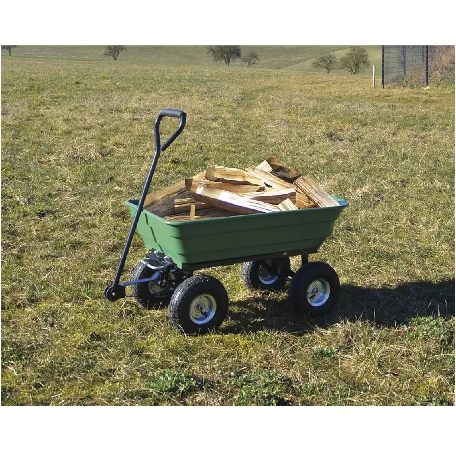  Gartenwagen GGW 300 