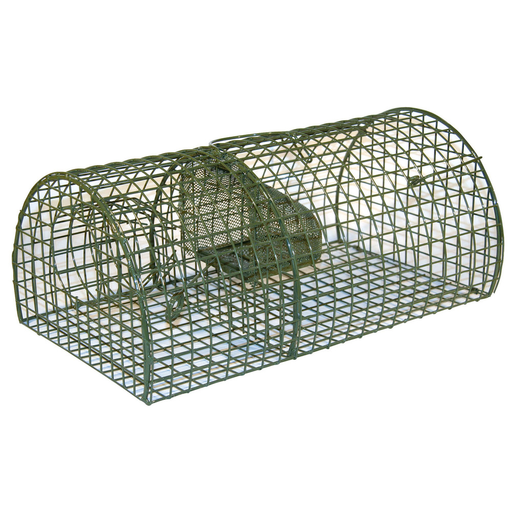 Ratten Lebendfalle MultiRat