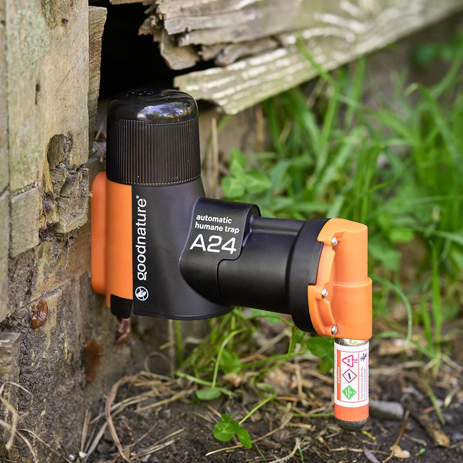 Ratten- und Mausefalle A24 Starter-Kit