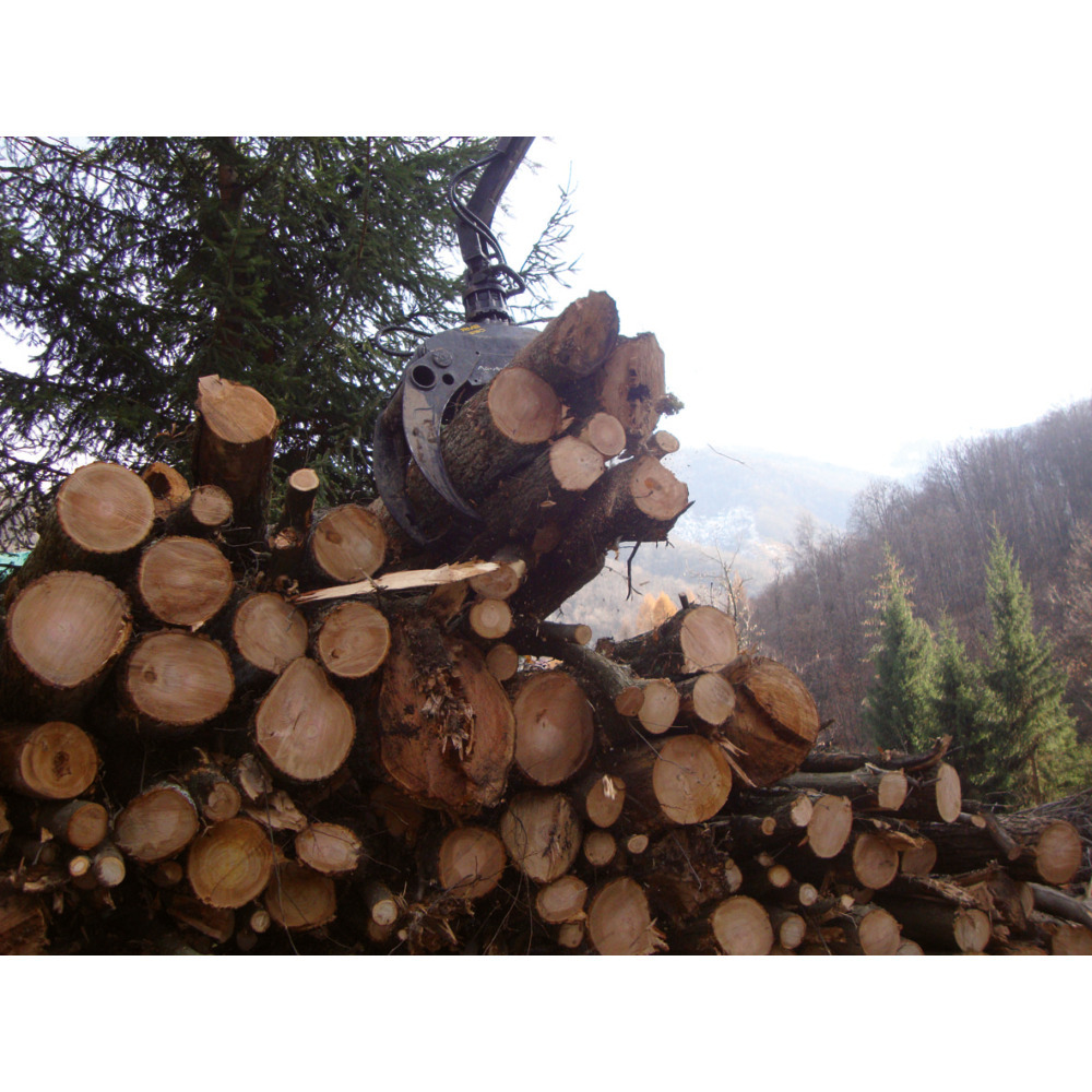 Holzgreifer inkl. Sicherheitsventil