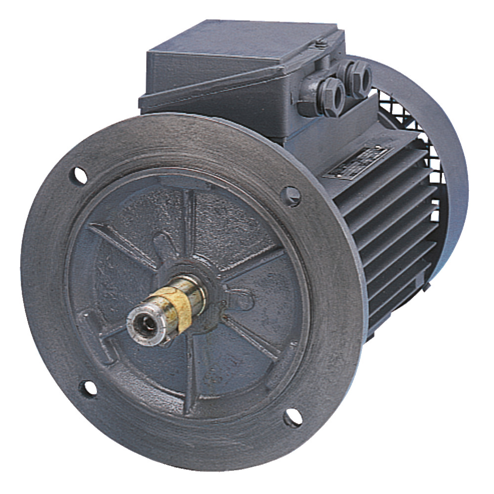 Elektromotor zum Anflanschen von Hydraulikpumpen