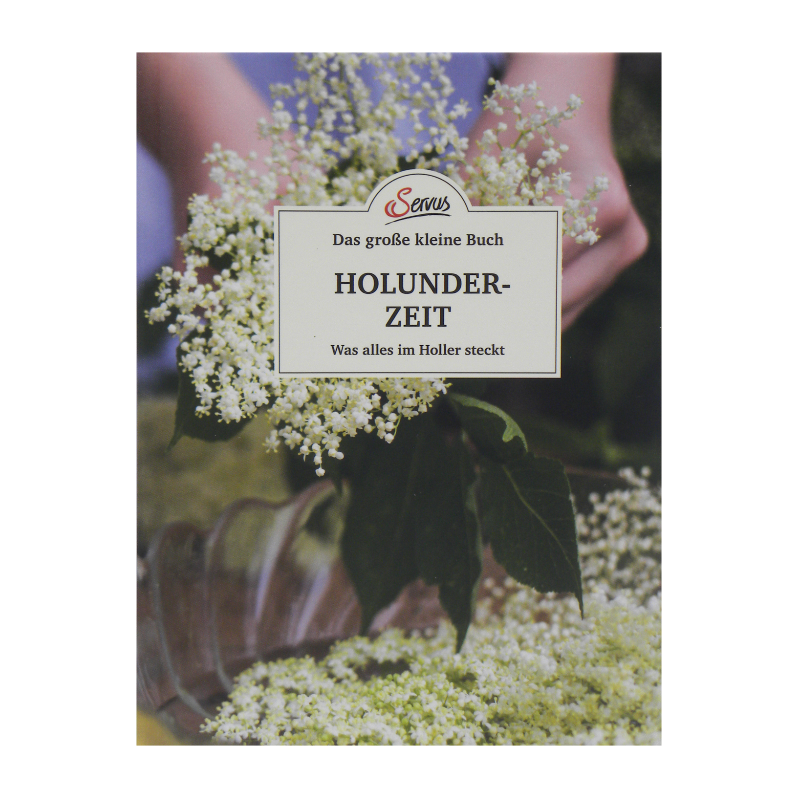 Das große kleine Buch: Holunderzeit-FA120181