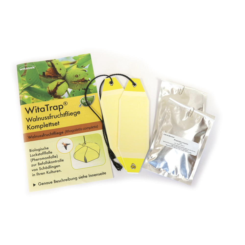 Walnussfruchtfliege Komplett Set (Rhagoletis completa)