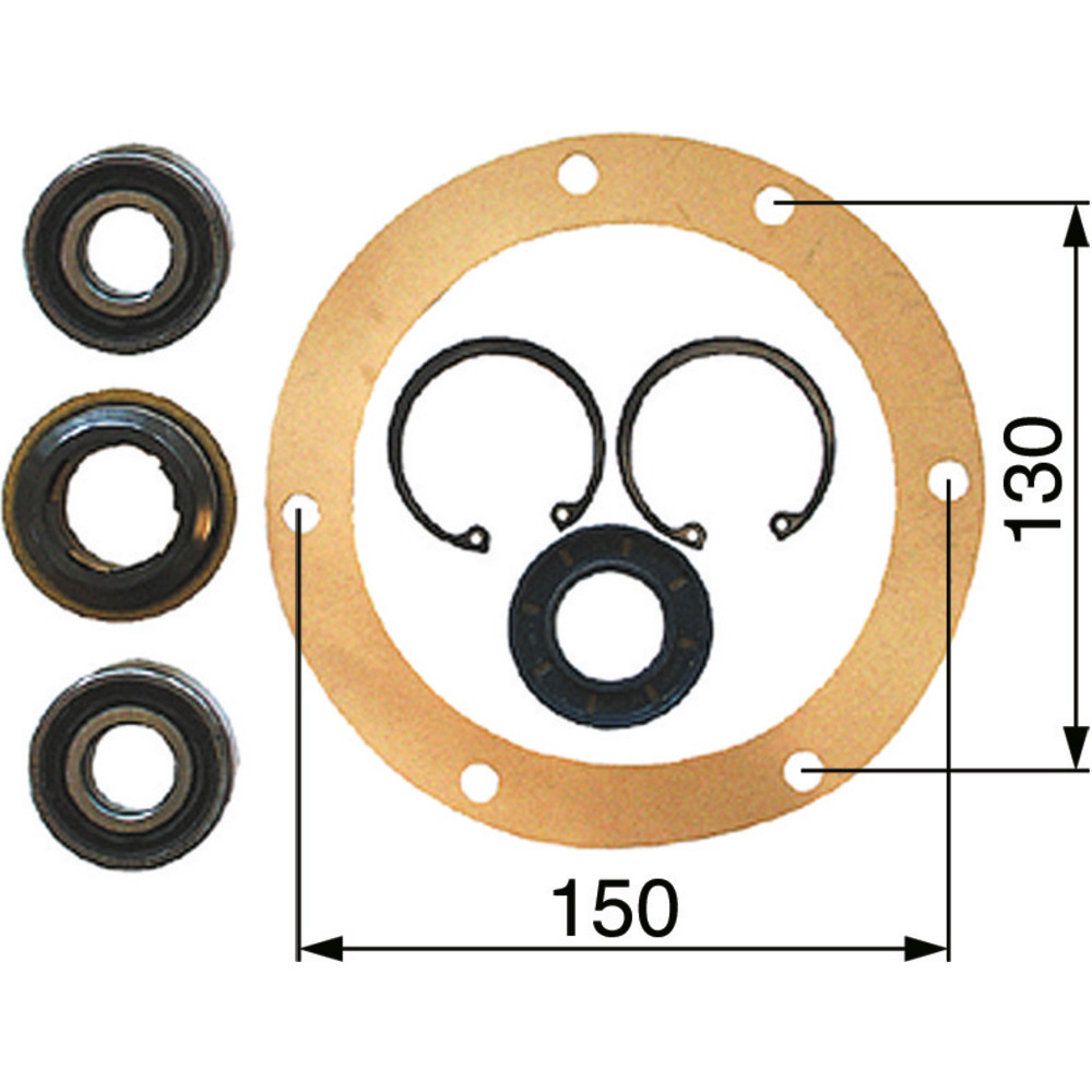 Wasserpumpenreparatur-Satz zu Steyr