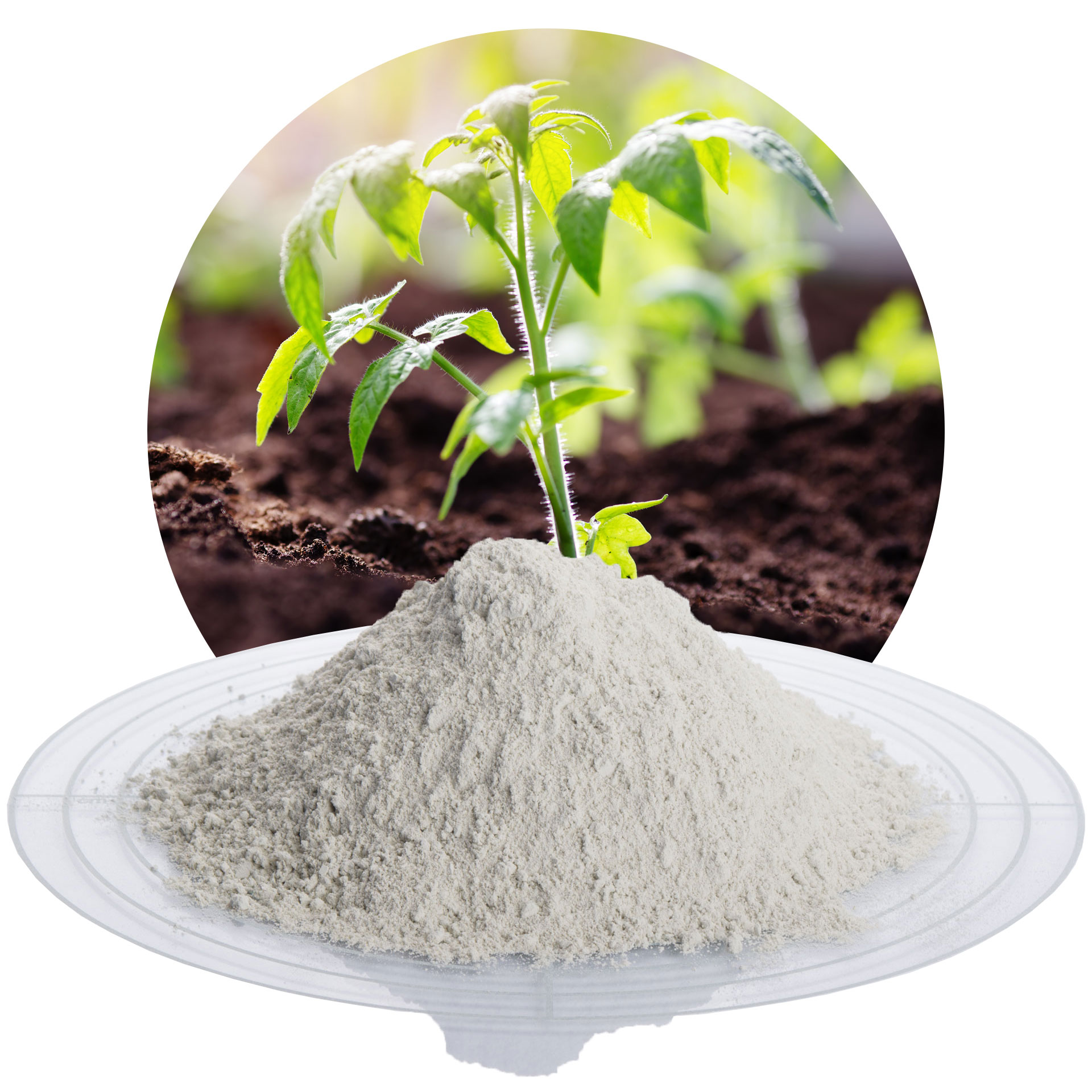 Zeolith-100 0-50 µm - 25 kg Sack