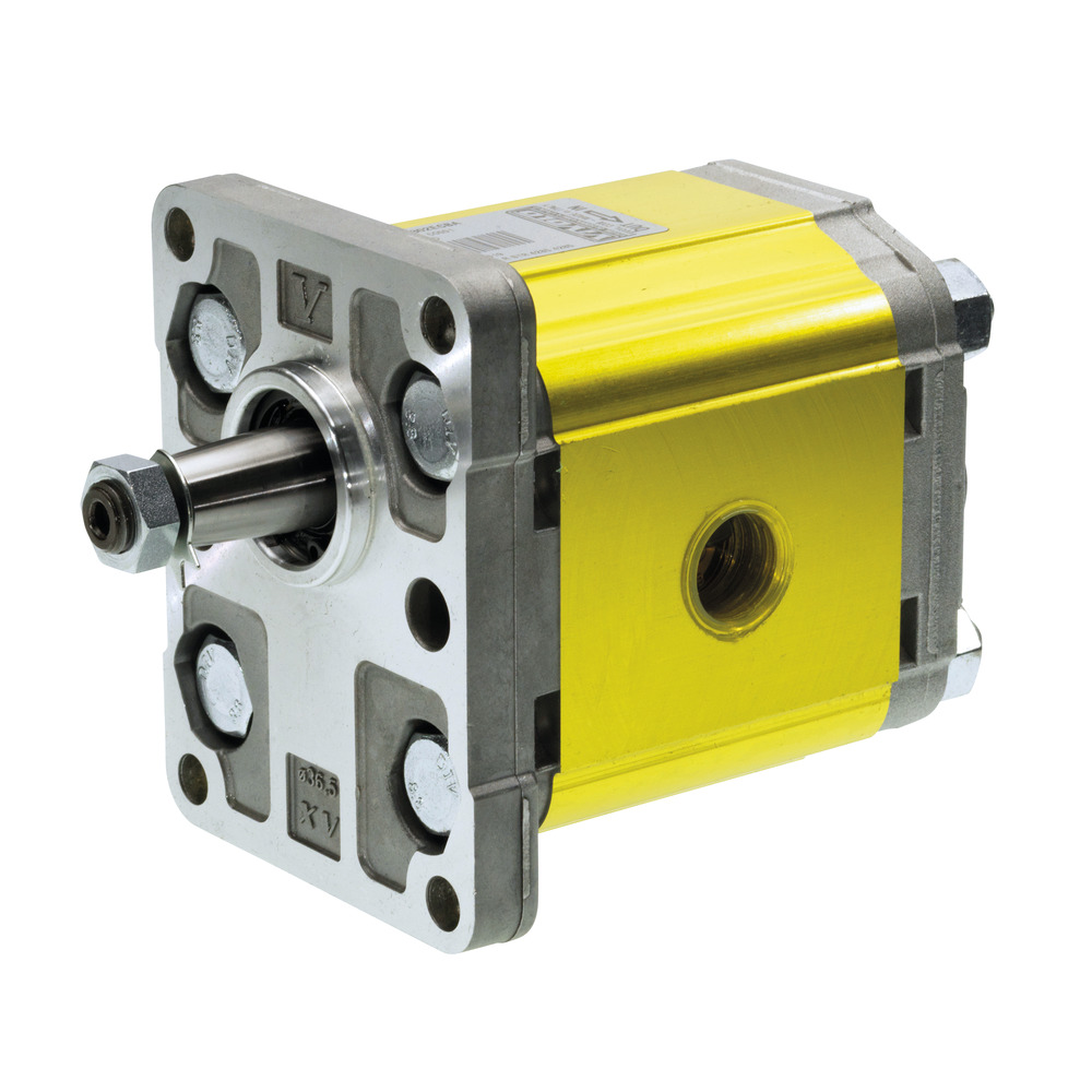 Hydraulikpumpe 19,5 ccm Drehrichtung rechts passend zu Schauer