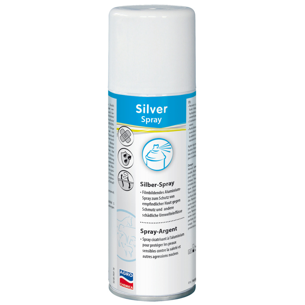 Silber-Spray