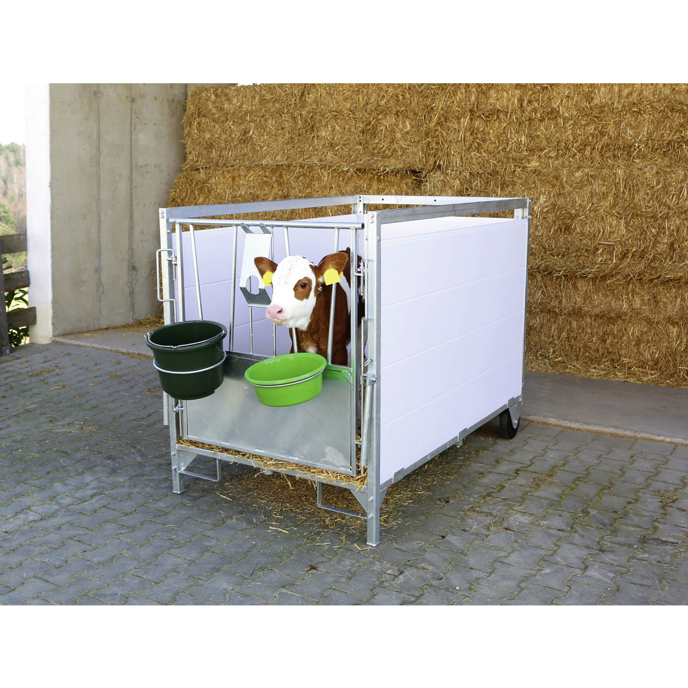 Kälberbox groß