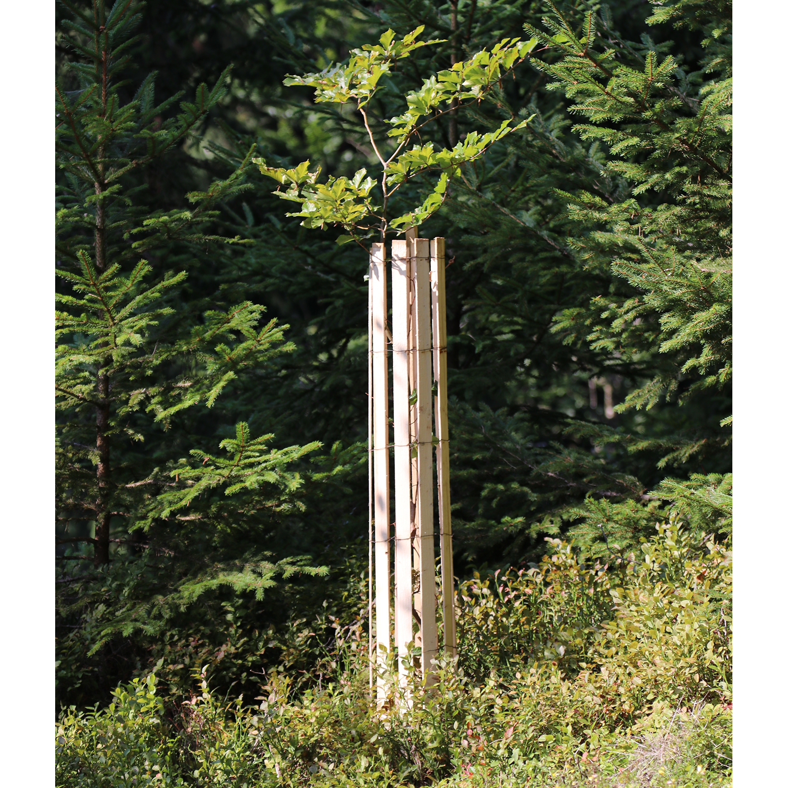 Baumschutz PRO Tube 14cm 120cm 1 St