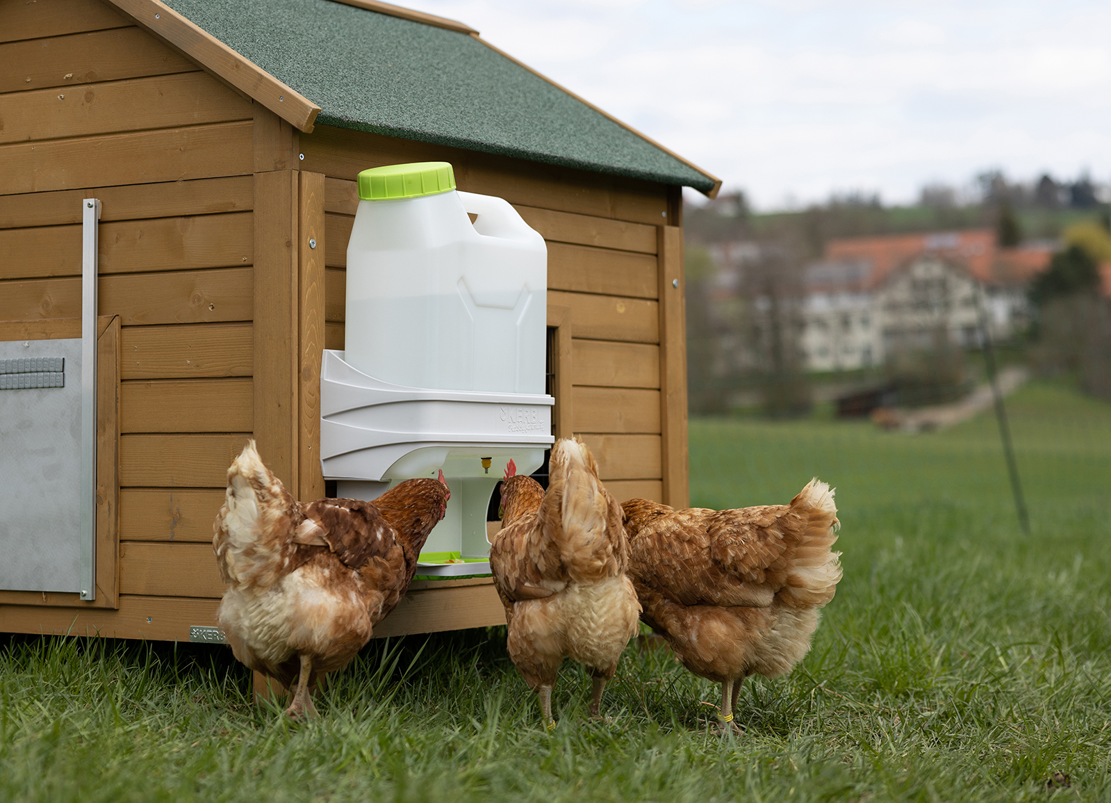 Geflügeltränke 10 L SmartCoop