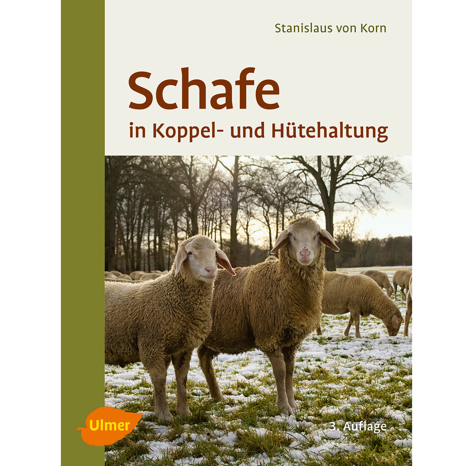  Schafe in Koppel- und Hütehaltung 