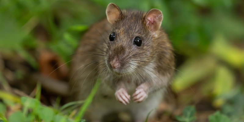 Ratgeber_Sachkundenachweis