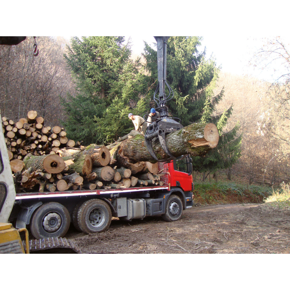 Holzgreifer/Forstgreifer / Verladezange inkl. Sicherheitsventil