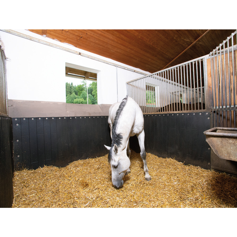 Schlagschutzmatte BELMONDO Rodeo