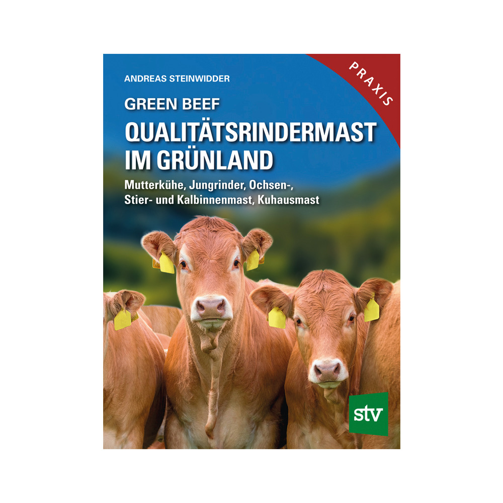 Qualitätsrindermast im Grünland