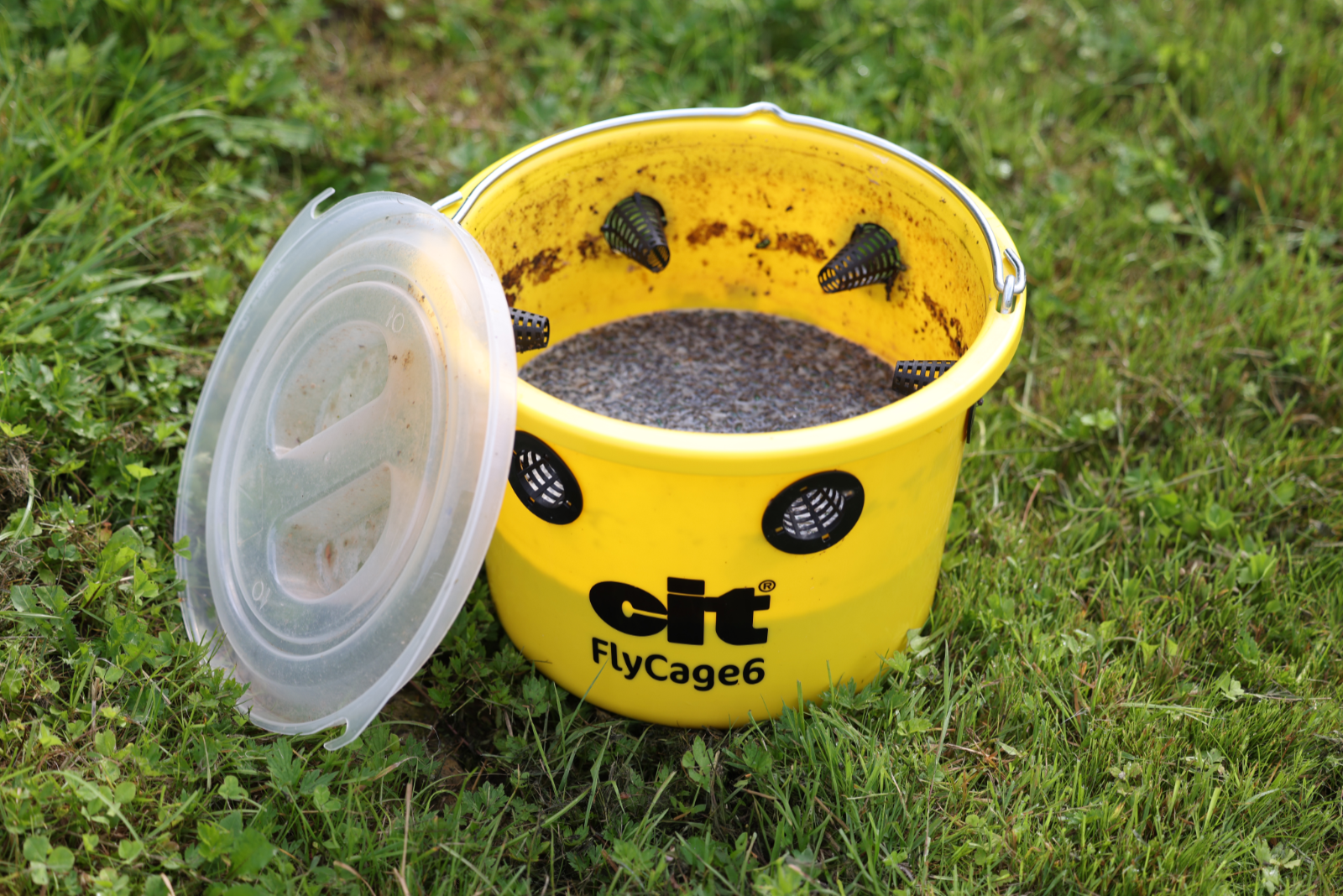 Fliegenfalle FlyCage6*