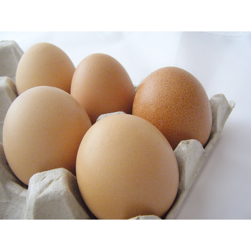 Eierlage für 30 Eier