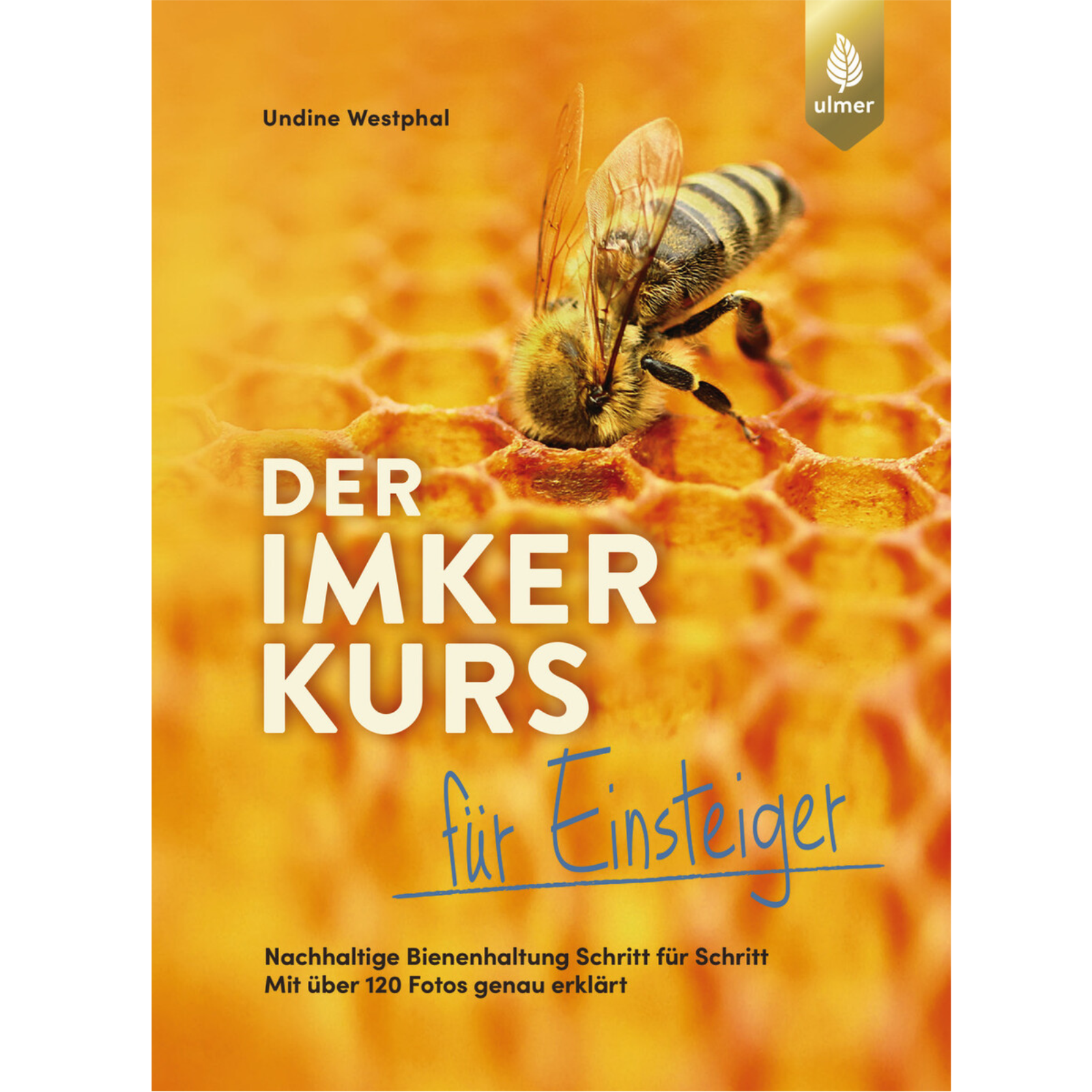 Der Imkerkurs für Einsteiger