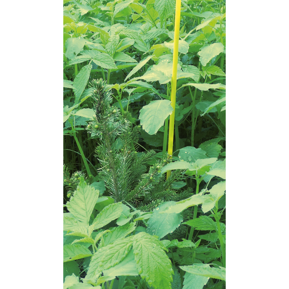 Markierstab Vinotto® Fiberglas 7 mm x 130 cm gelb