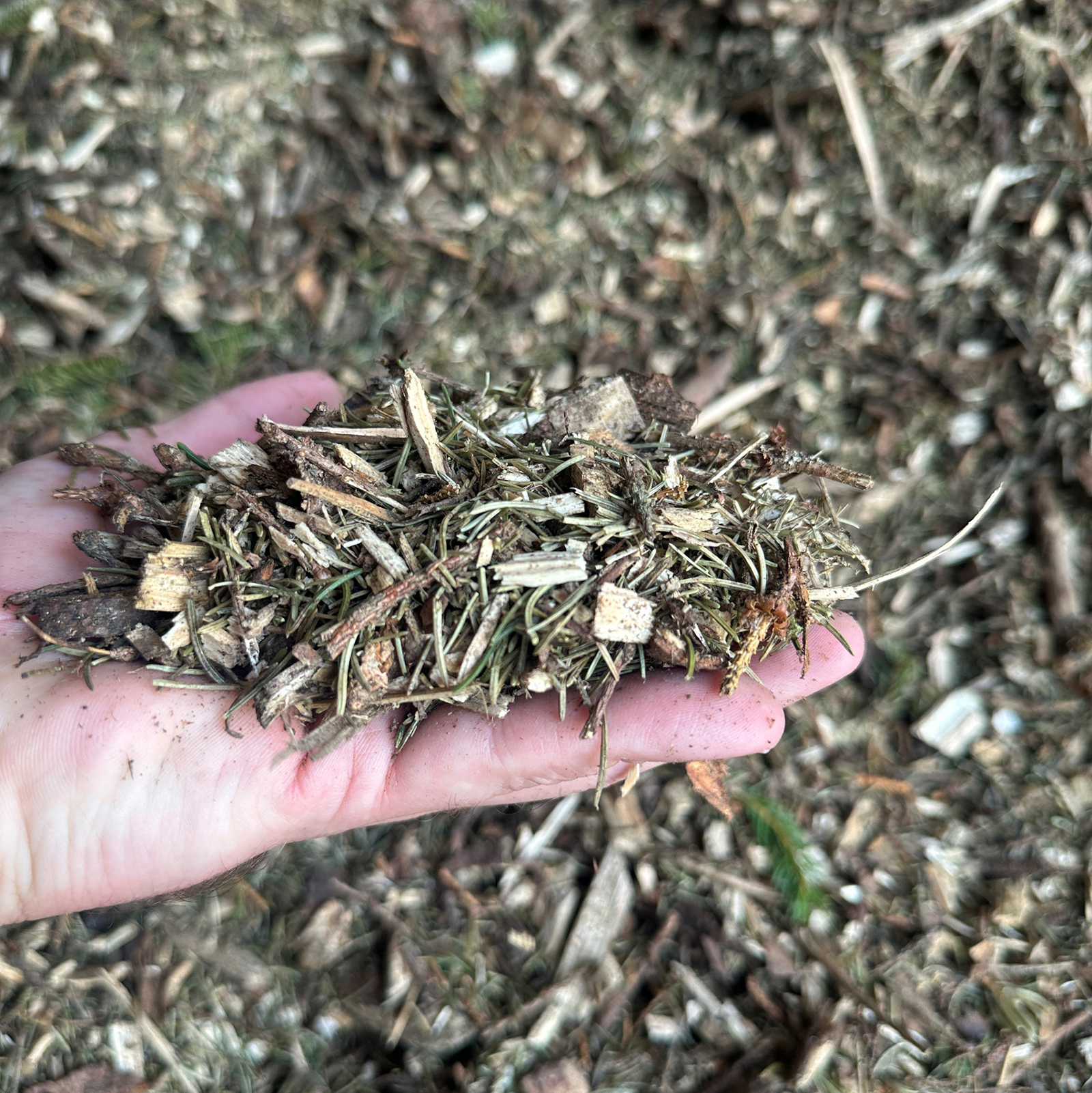 Waldboden Einstreu 60l