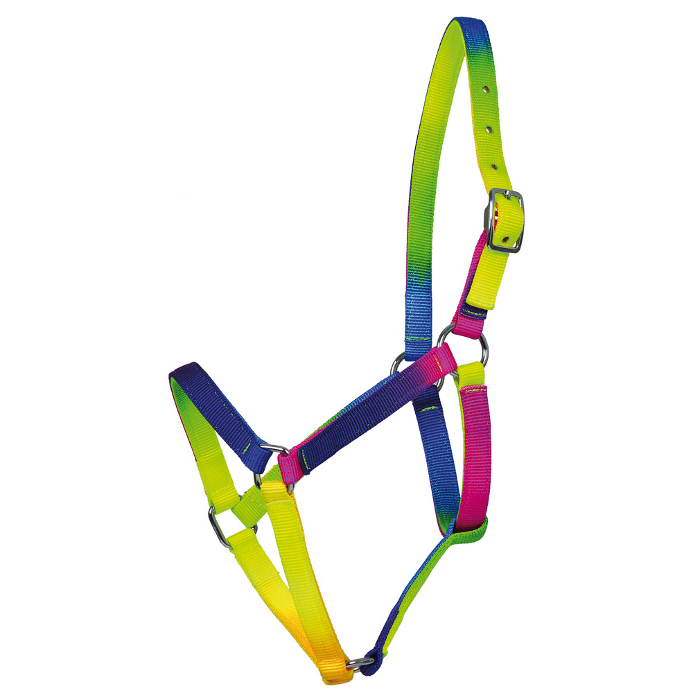 Halfter Regenbogen-FA100543