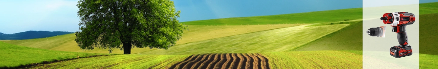 Offerta della settimana