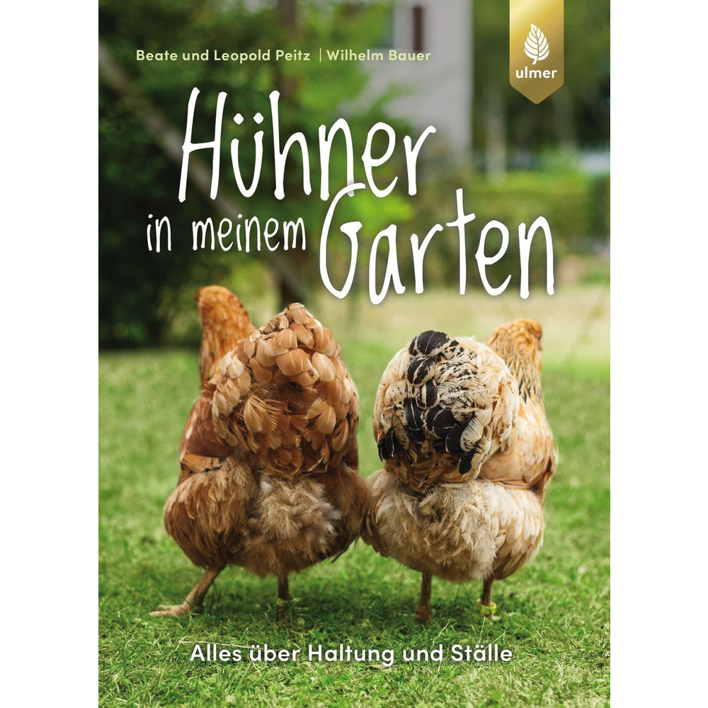 Hühner in meinem Garten