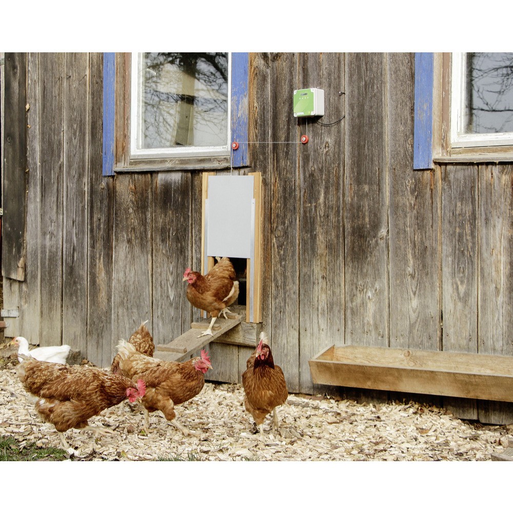 Hühnertür Set mit Solar-Akku-Set