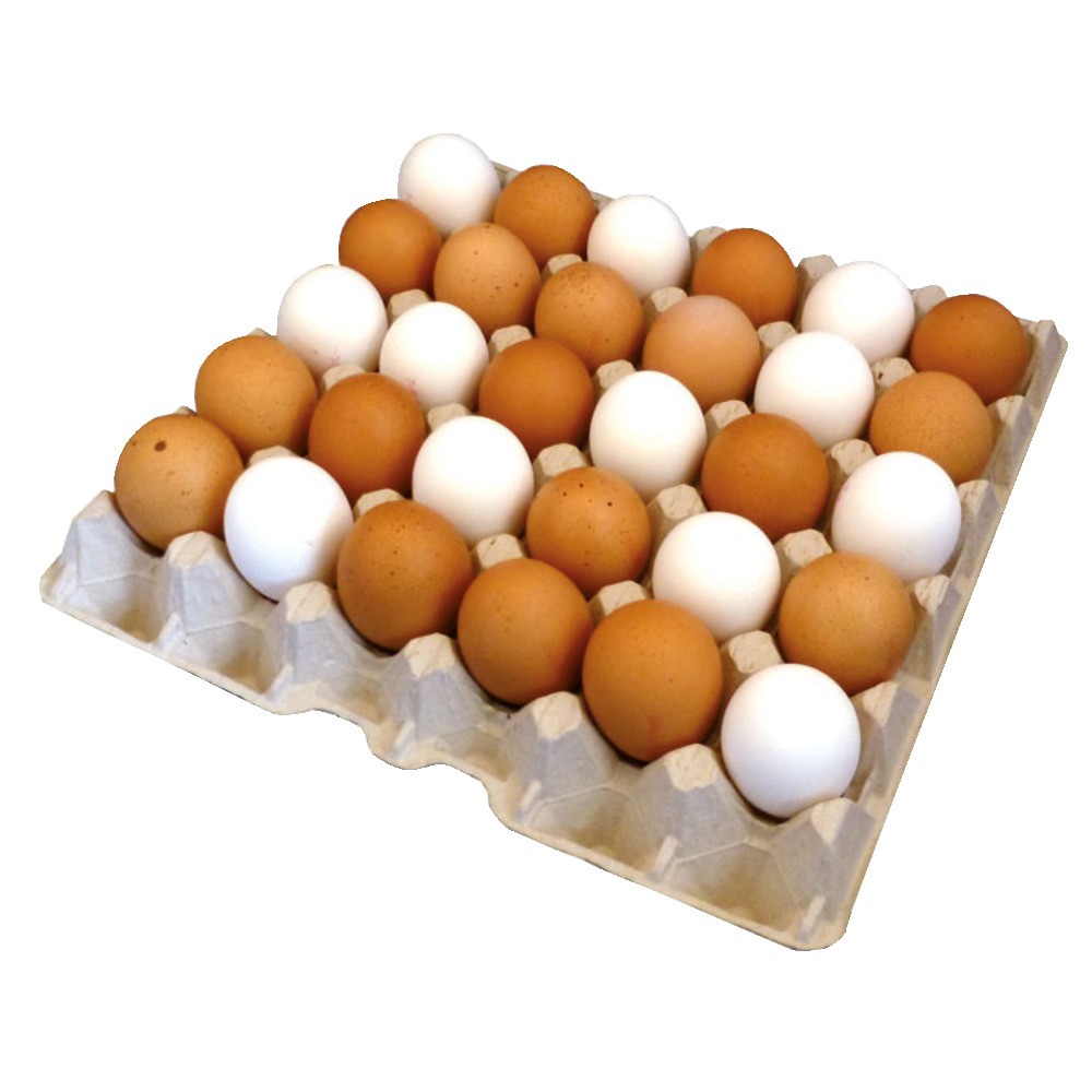 Eierlage für 30 Eier