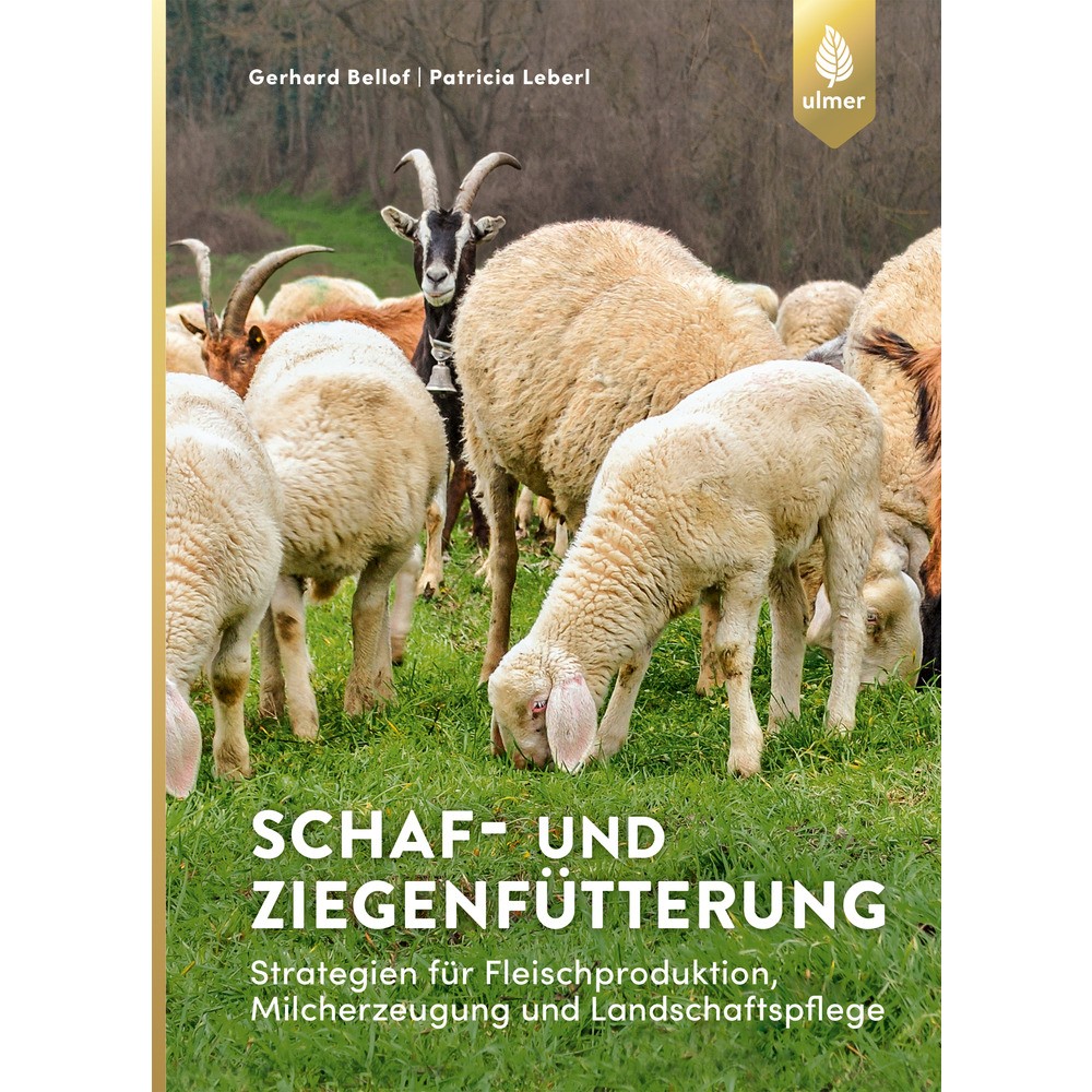 Schaf-und Ziegenfütterung