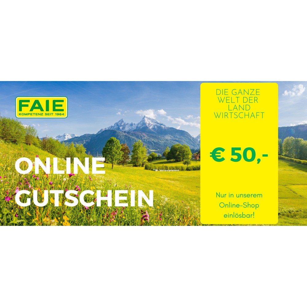50 Euro Online-Gutschein