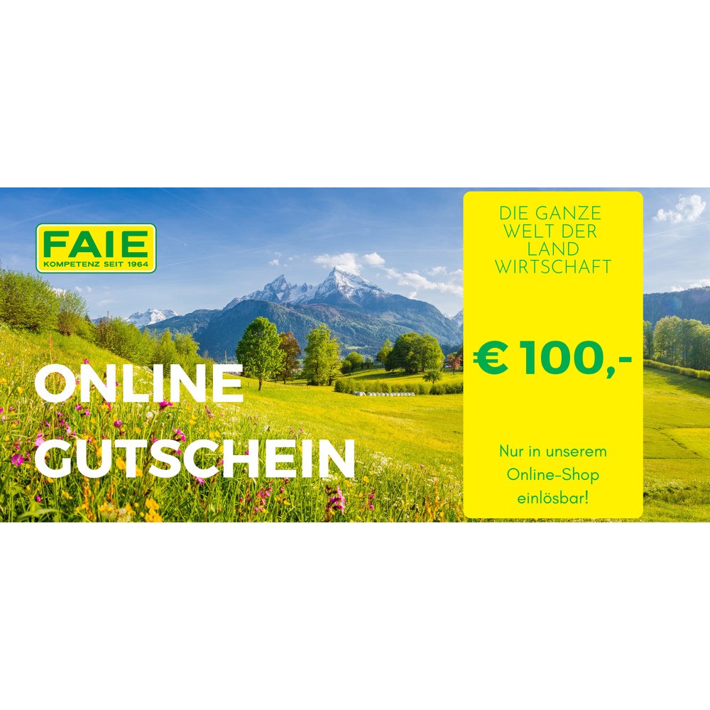 100 Euro Online-Gutschein
